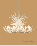 Suspension Luminaire Design — Salon