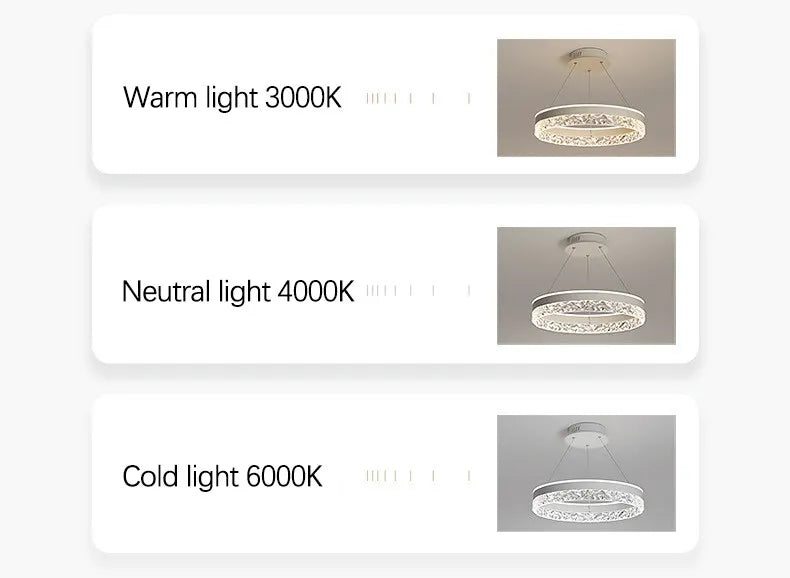 Lustre pour Salon Moderne — Métal