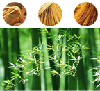 Suspension Bambou Plafond 2025 | Lustre Naturel Multi-Styles | Luminaire Artisanal Boho