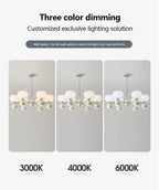 Lustre pour Salon Moderne