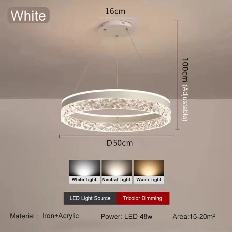 Lustre pour Salon Moderne — Métal