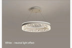 Lustre pour Salon Moderne — Métal