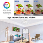 Lustre Anneau LED Design Contemporain — Flush Mount Salon — Chambre et Cuisine