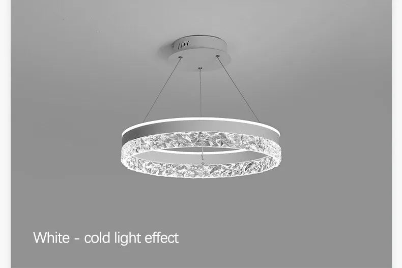 Lustre pour Salon Moderne — Métal